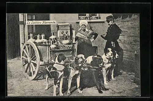 AK La Laitiere Flamande, Hundegespann