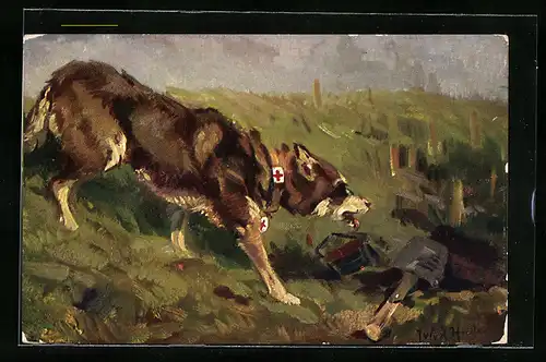 Künstler-AK Der Sanitätshund im Felde, Auf der Suche nach Verwundeten