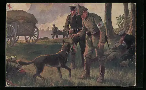AK Sanitätshund bringt dem Sanitätshundführer das Krätzchen eines verwundeten Soldaten