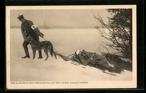 AK Sanitätshund zieht den verwundeten Soldaten auf den Skiern seines Hundeführers
