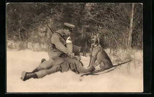 AK Sanitätshund Troll hat einen Verwundeten aufgespürt
