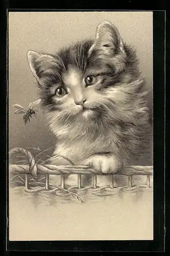 Lithographie Kätzchen beäugt eine Biene