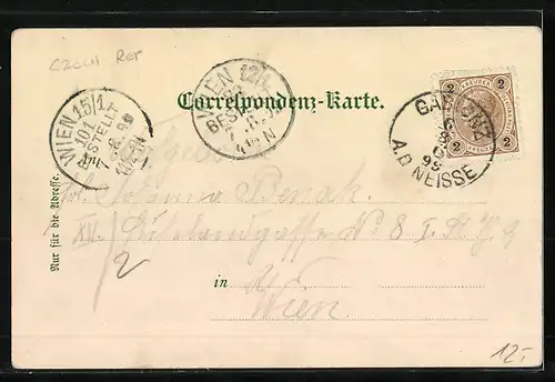 Lithographie Gablonz / Jablonec Nad Nisou, Ortsansicht mit Stadtpark, Partie am Steinberg