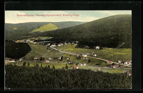 AK Neuwelt-Harrachsdorf, Panorama der Ortschaft