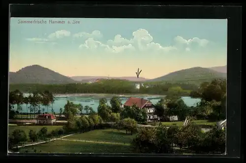 AK Hammer am See, Hotel Seehof, Panorama