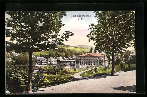 AK Bad Liebwerda / Lazne Libverda, Strassenpartie mit Blick zum Ort im Sommer