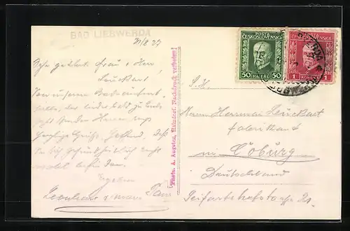 AK Bad Liebwerda, Teilansicht mit Herrschaftlichen Häusern