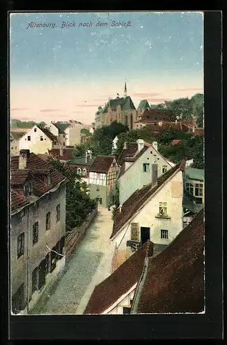 AK Altenburg, Blick nach dem Schloss