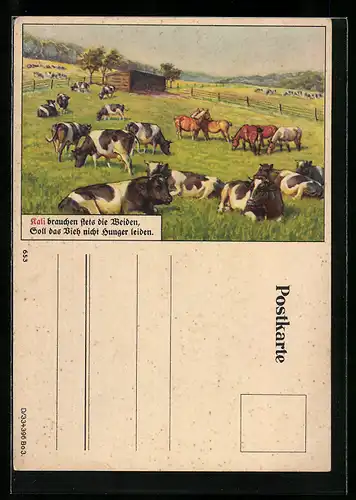 AK Reklame für Kali-Dünger, Rinder auf der Weide