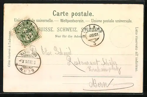 Lithographie Rigi-Kulm, Hotel