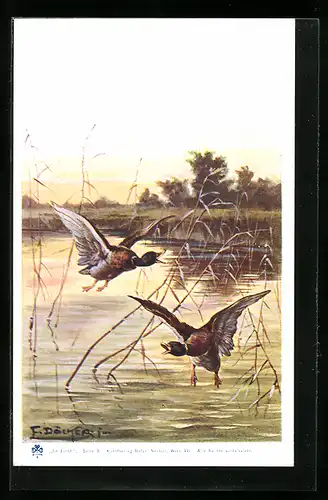 Künstler-AK E. Döcker: Im Forst, aufgeschreckte Wildenten