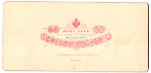 Stereo-Fotografie Alois Beer, Klagenfurt, Ansicht Gstatterboden, Blick zum Reichenstein in der Steiermark