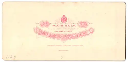 Stereo-Fotografie Alois Beer, Klagenfurt, Ansicht Gesäuse, Blick auf die Hochtorgruppe