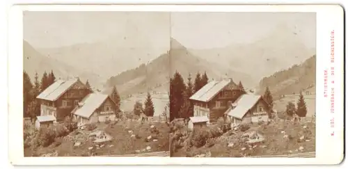 Stereo-Fotografie Alois Beer, Klagenfurt, Ansicht Johnsbach, Gutshaus im Ort mit Blick zum Reichenstein