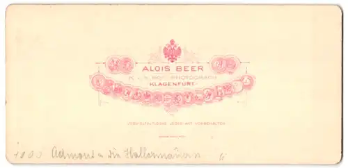 Stereo-Fotografie Alois Beer, Klagenfurt, Ansicht Admont, Blick nach der Stadt und die Hallermauern