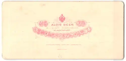 Stereo-Fotografie Alois Beer, Klagenfurt, Ansicht Unzmarkt / Steiermark, Ortsansicht mit Frauenburg