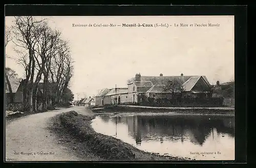 AK Mesnil-à-Caux, La Mare et l`ancien Manoir