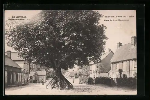 AK Theuville-aux-Maillots, Place du Gros Marronnier