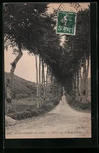 AK Saint-Pierre-en-Port, arrivée par la route d'Életot
