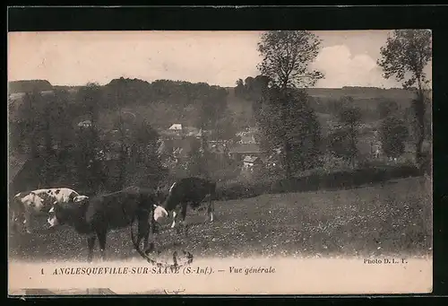 AK Anglesqueville-sur-Saane, Vue Generale