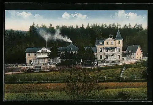 AK Saalburg /Ts., Gaststätte Lochmühle H. Zwermann aus der Vogelschau