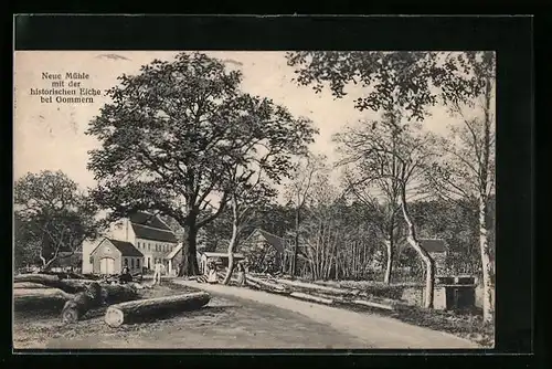 AK Gommern, Neue Mühle und historische Eiche mit Strasse