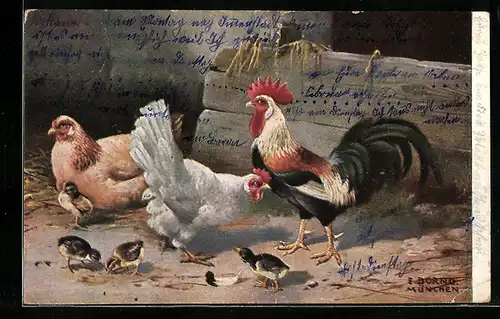 Künstler-AK Hahn mit Hennen und Küken