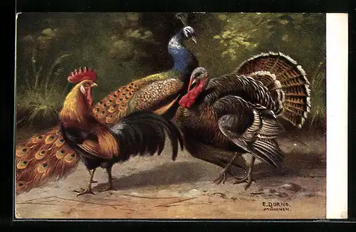 Künstler-AK Hahn, Hoogenstraatens Fijne groenten, Soepen en Saucen