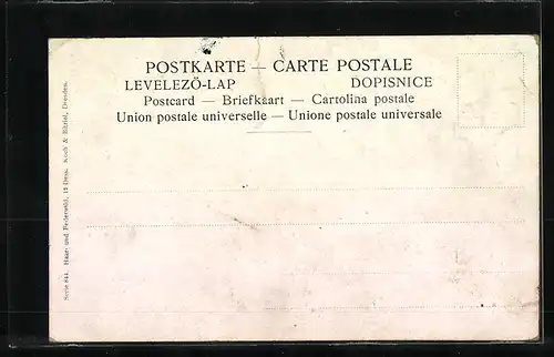 AK Rufender Auerhahn auf einem kahlen Baum