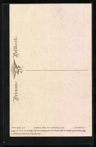 AK Edles Reitpferd, Schimmel, Portrait