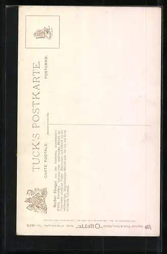 AK Edles Reitpferd mit weisser Mähne