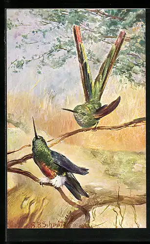 AK Zwei Vögel mit langem Schnabel auf einem Baum