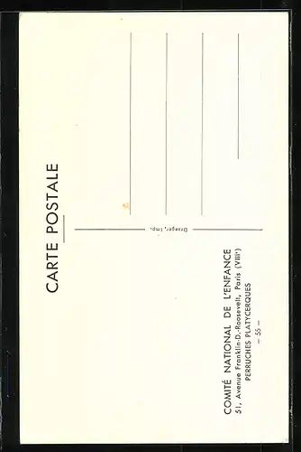 AK Papageienpaar auf einem Zweig