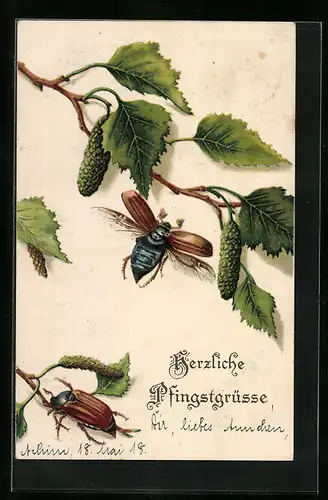 AK Fliegender und krabbelnder Maikäfer und Birkenzweig, Pfingstgruss