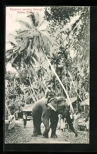 AK Arbeitselefant mit Reiter in einem Dorf im Urwald