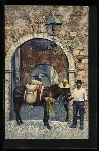 AK Contadino con Mulo, Maultier