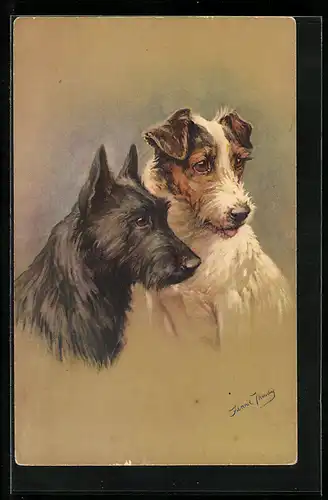 Künstler-AK Schwarzer und gescheckter Terrier