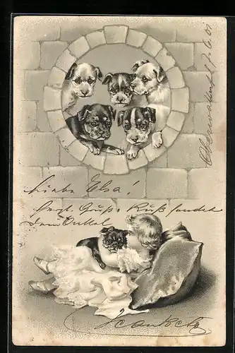 Passepartout-Lithographie Welpen gucken durch Luke auf Mädchen mit Welpe auf Kissen