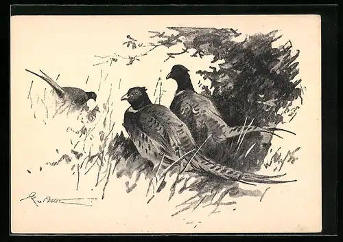 AK Jagdeinladung mit Fasanen im Gras