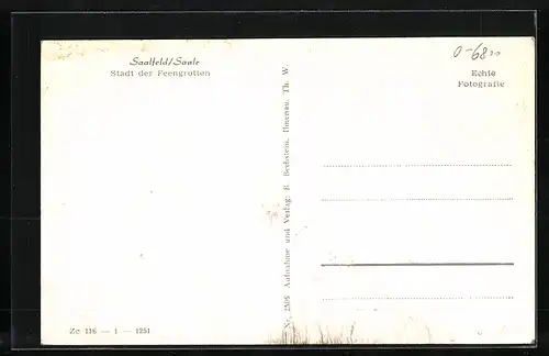 AK Saalfeld /Saale, Teilansicht mit Brücke