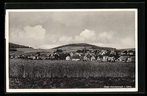 AK Ober-Abtsteinach i. Odw., Ortsansicht bei Tag