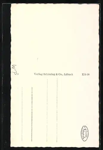 AK Elbing / Elblag, Patrizierhäuser in der Spieringstrasse