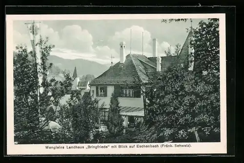 AK Eschenbach /Fränk. Schweiz, Wengleins Pension Landhaus Bringfriede mit Blick auf den Ort