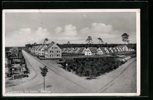 AK Ludwigsfelde /Krs. Teltow, Siedlung mit Strassenpartie