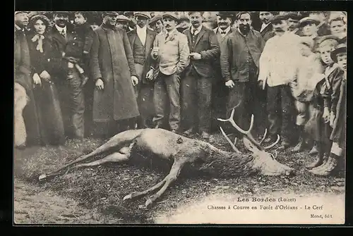 AK Les Bordes, Chasses à Courre en Forêt d`Orleans, Le Cerf