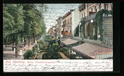 AK Bad Homburg, Blick auf die grüne Kaiser Friedrich Promenade