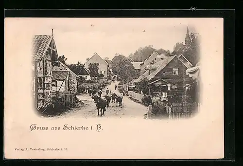 AK Schierke im Harz, Viehtrieb durch den Ort