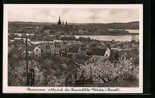 AK Werder a. Havel, Panorama der Stadt während der Baumblüte