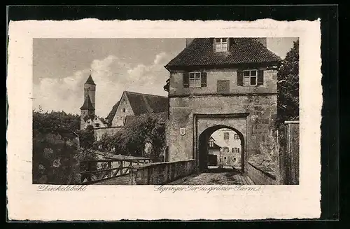 AK Dinkelsbühl, Segringer Tor und grüner Turm