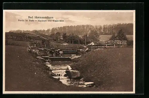 AK Bad Hermannsborn, Partie im Park, Alpinum und Wasserfälle